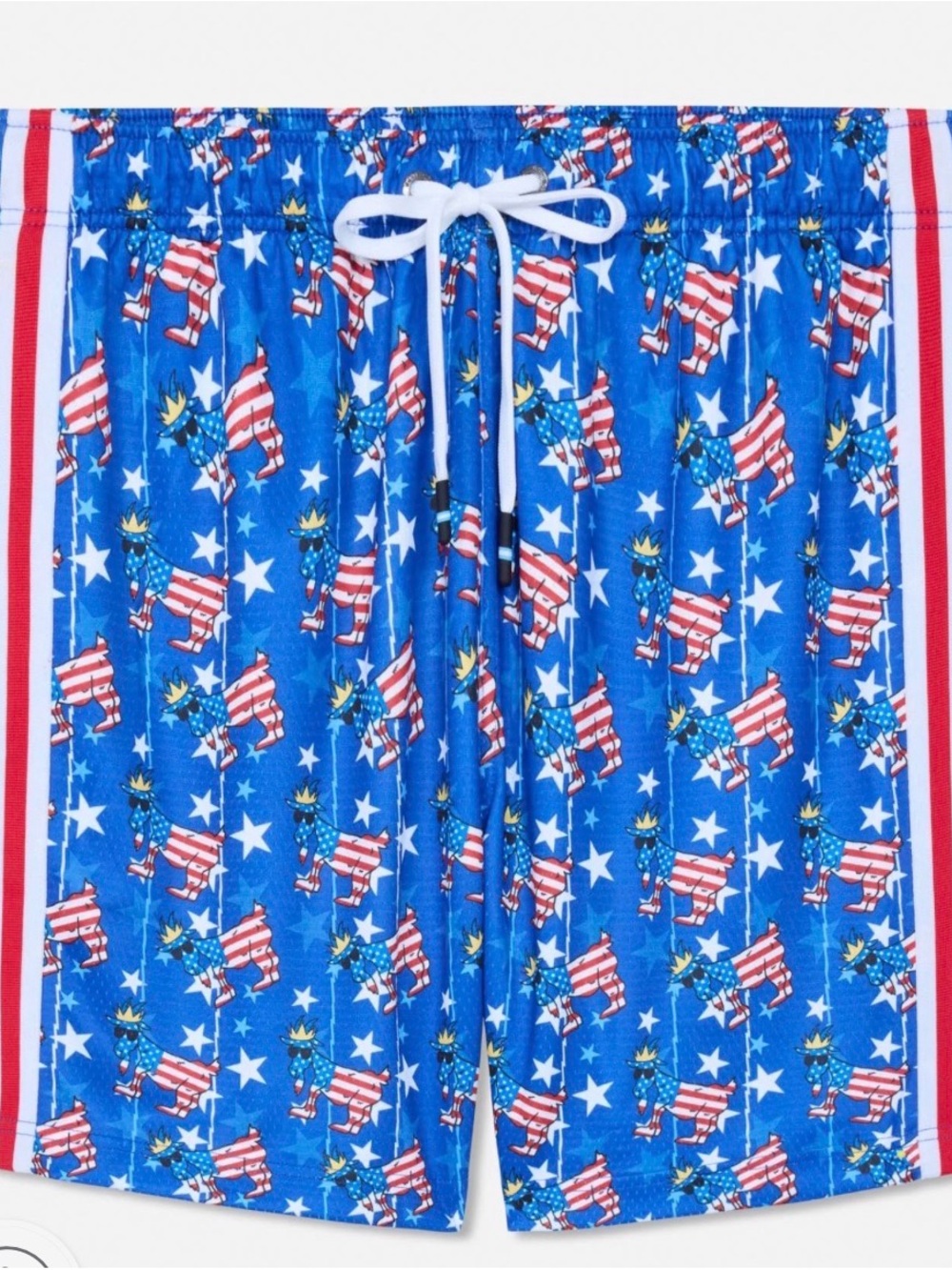 Kids' (sz Youth L) GOAT USA Freedom Mesh Shorts - NWT